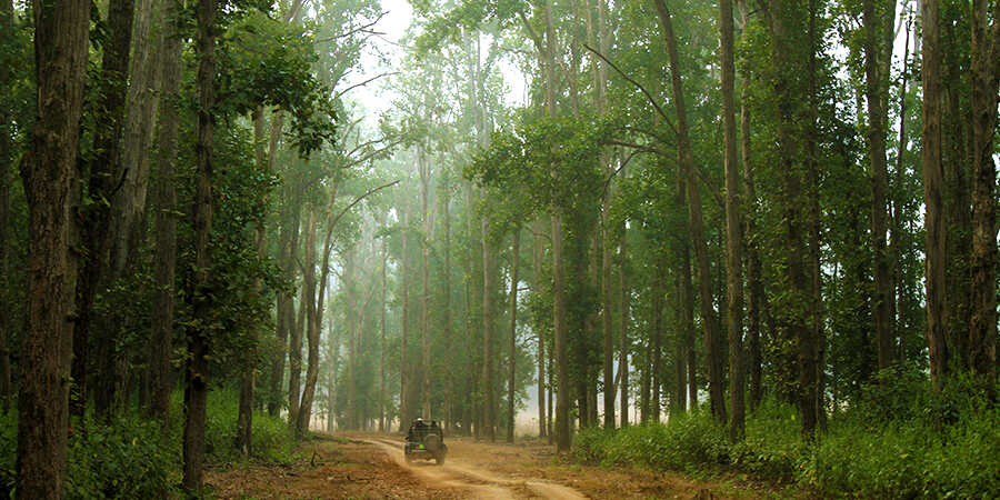 Kanha National Park Kanha National Park